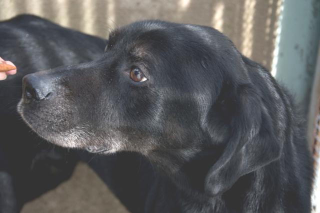 multimedia-foto37325-711-3