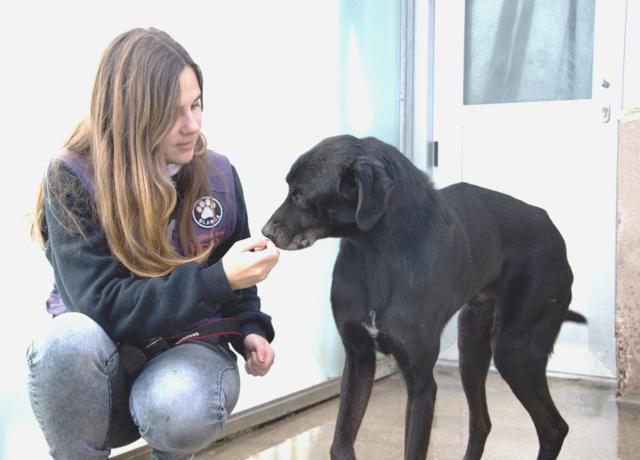 multimedia-foto37326-925-3