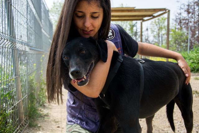 multimedia-foto37329-479-3