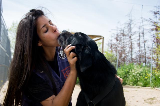 multimedia-foto37330-625-3