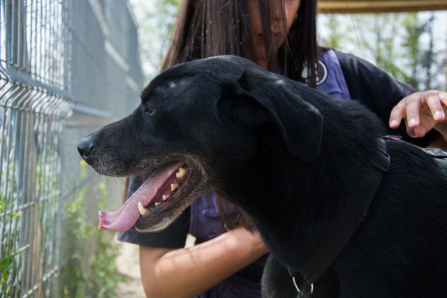 multimedia-foto37331-749-3