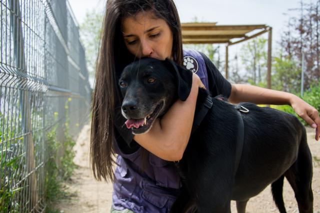 multimedia-foto37332-852-3