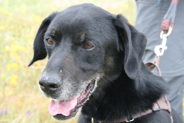 multimedia-foto37333-911-3