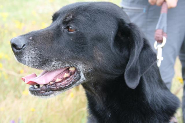 multimedia-foto37334-957-3