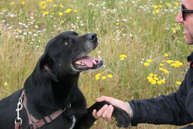 multimedia-foto37335-998-3