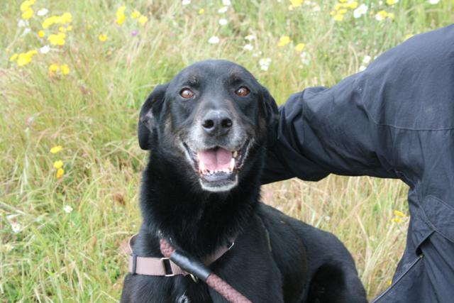 multimedia-foto37336-32-3