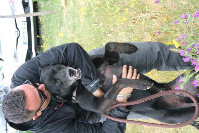 multimedia-foto37337-61-3