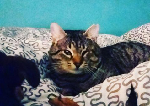 multimedia-foto37397-329-3