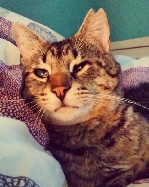 multimedia-foto37399-776-3