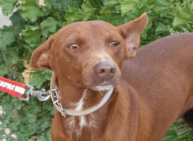 multimedia-foto37534-452-3