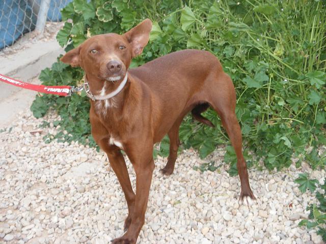 multimedia-foto37535-675-3