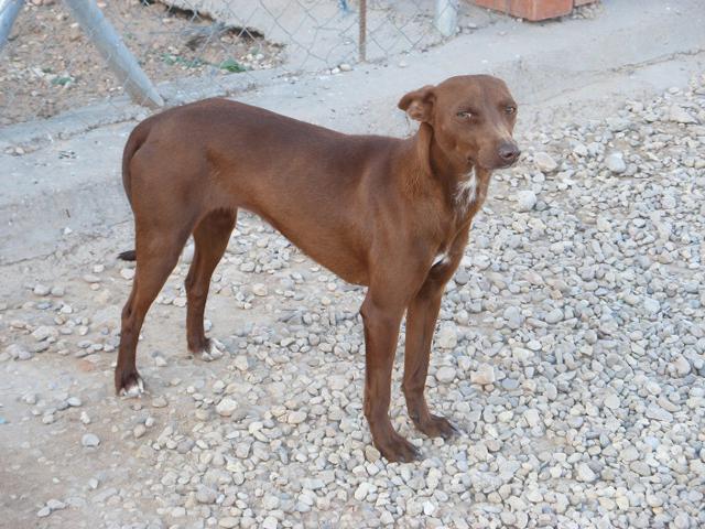 multimedia-foto37536-890-3