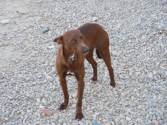 multimedia-foto37537-90-3