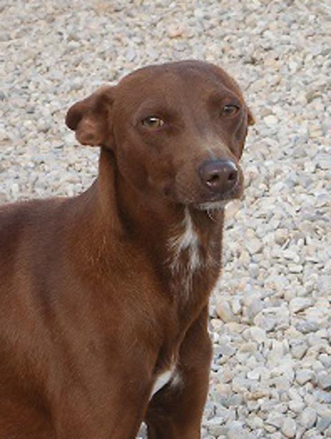 multimedia-foto37538-281-3