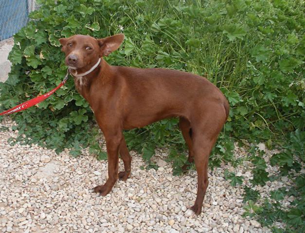 multimedia-foto37540-601-3