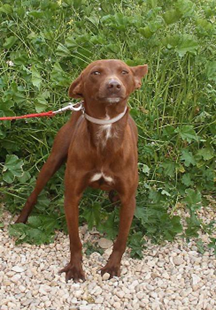 multimedia-foto37541-728-3