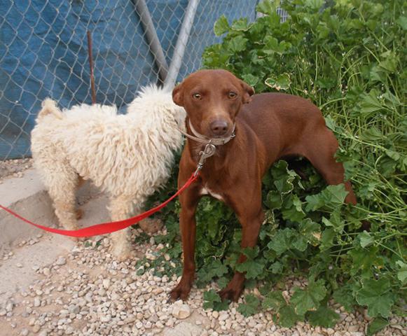 multimedia-foto37542-836-3