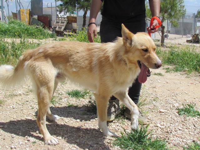 multimedia-foto37545-458-3