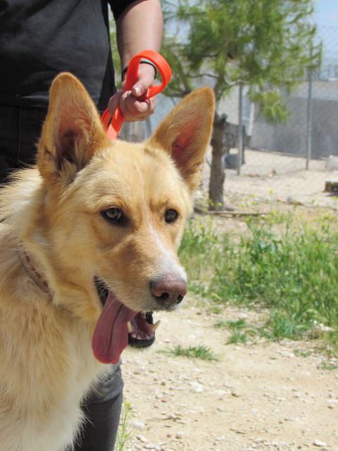 multimedia-foto37546-682-3