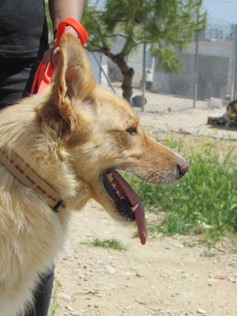 multimedia-foto37547-897-3