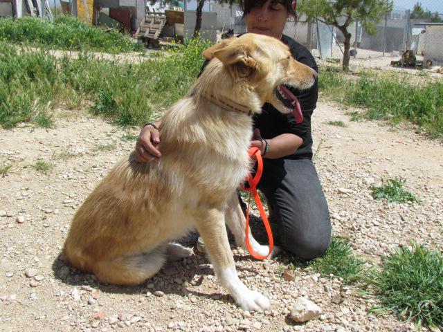 multimedia-foto37548-96-3