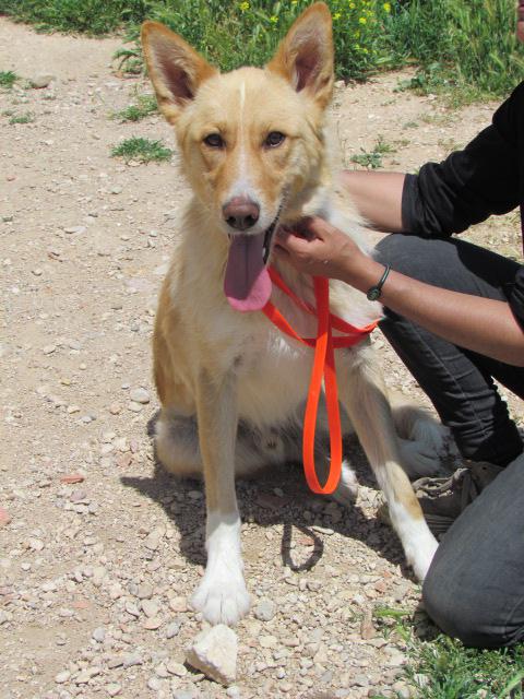 multimedia-foto37549-286-3