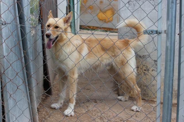 multimedia-foto37550-455-3