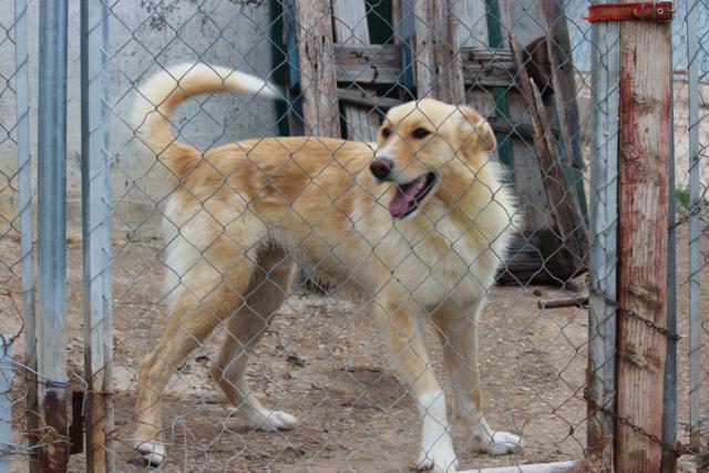 multimedia-foto37551-605-3