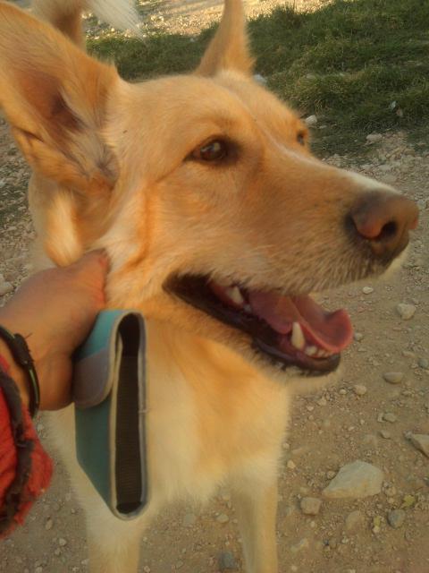 multimedia-foto37552-732-3