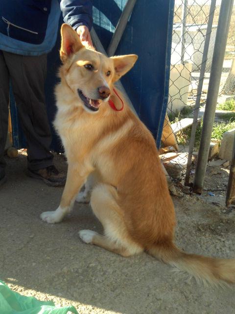 multimedia-foto37553-839-3