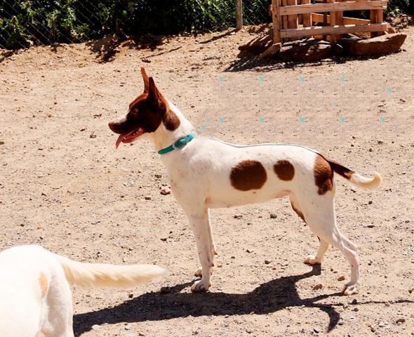 multimedia-foto37555-465-3