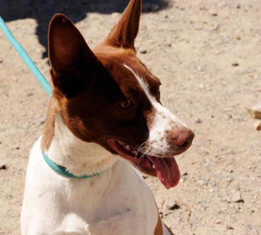 multimedia-foto37556-690-3