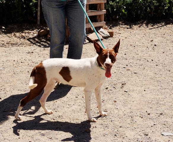 multimedia-foto37558-105-3