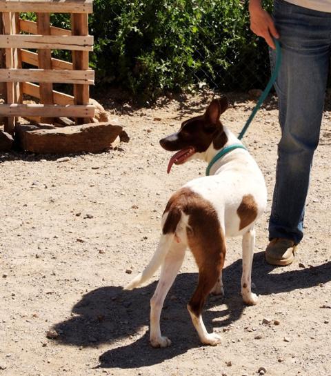 multimedia-foto37559-293-3