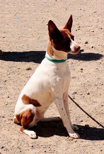 multimedia-foto37560-462-3