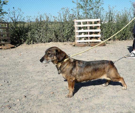 multimedia-foto37593-499-3