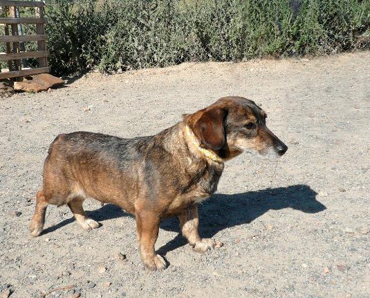 multimedia-foto37595-935-3