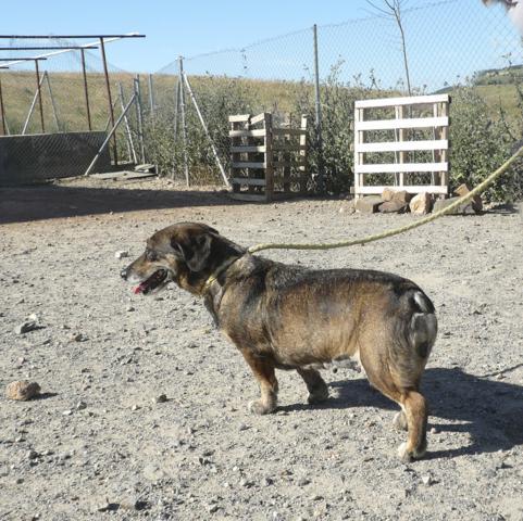 multimedia-foto37596-133-3