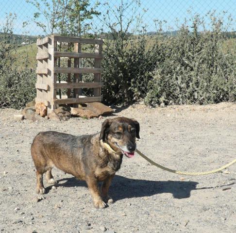 multimedia-foto37598-486-3