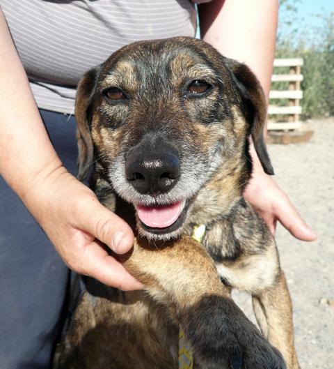 multimedia-foto37599-633-3