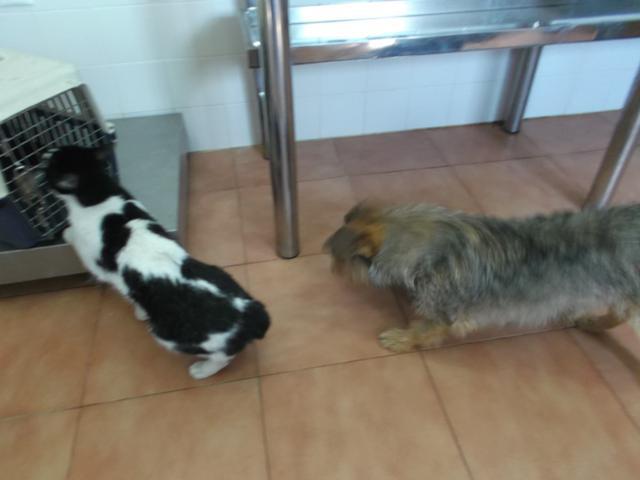 multimedia-foto37600-756-3