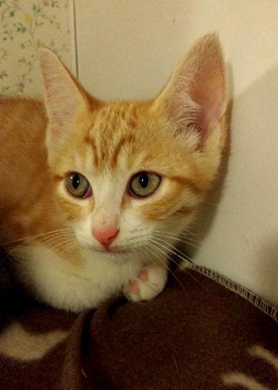 multimedia-foto37602-727-3