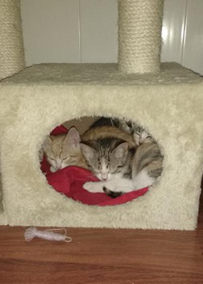 multimedia-foto37604-138-3