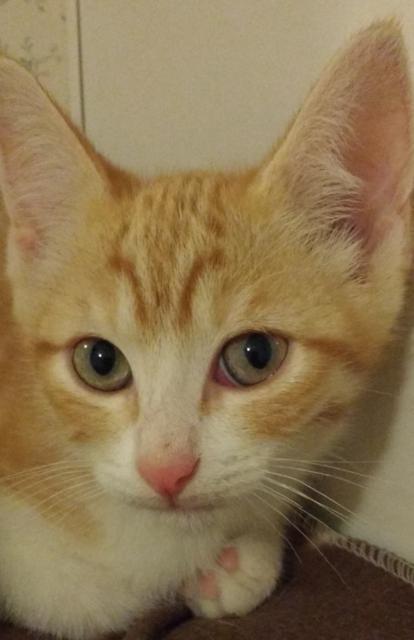 multimedia-foto37605-323-3