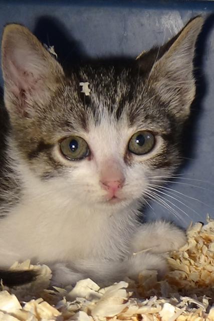 multimedia-foto37625-749-3