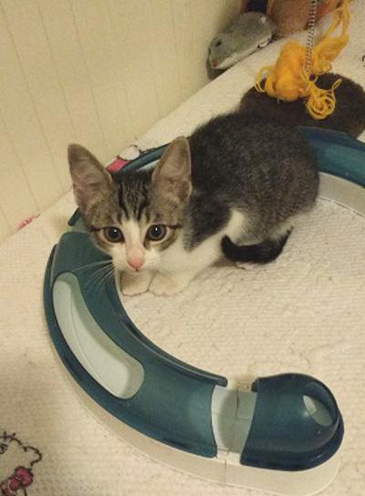 multimedia-foto37633-870-3