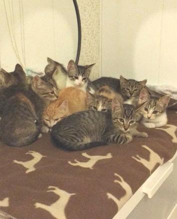 multimedia-foto37638-68-3