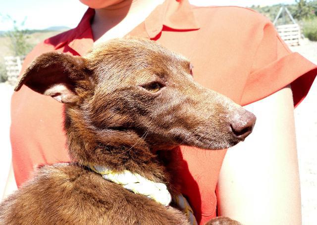 multimedia-foto37642-317-3