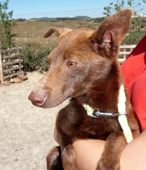 multimedia-foto37643-543-3