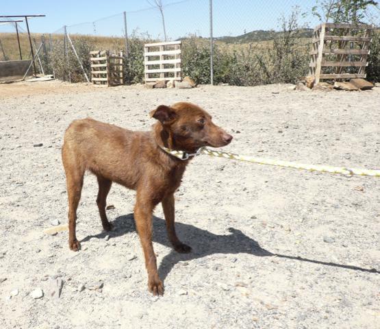 multimedia-foto37644-764-3